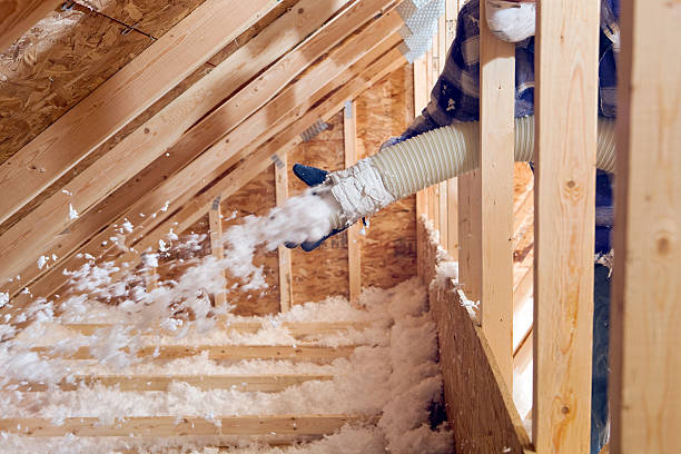 Best Attic Insulation Installation  in Arlington, NE